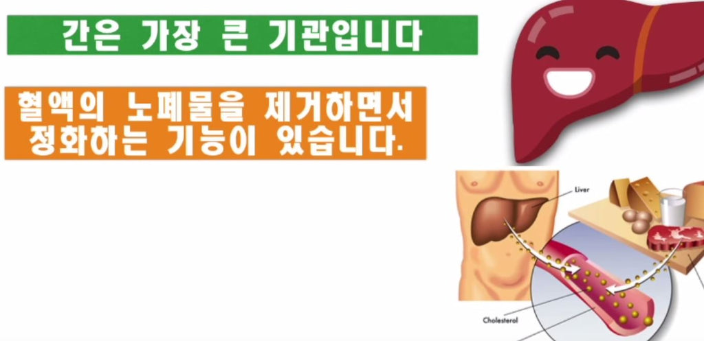 간 기능 장애가있는 사람에게 나타나는 증상